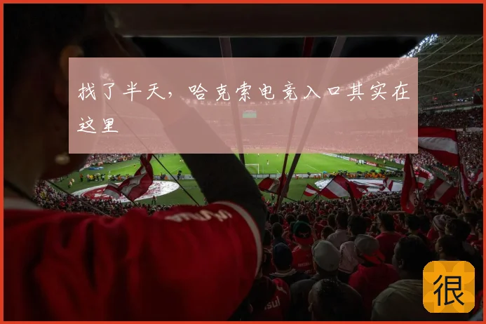找了半天，哈克索电竞入口其实在这里