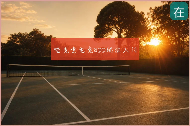 哈克索电竞app玩法入门